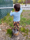 Young boy trying to look over fence Royalty Free Stock Photo