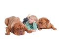 Young boy and two big dogues de bordeaux Royalty Free Stock Photo