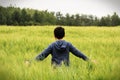 A young boy walks in a green barley field with arms out Royalty Free Stock Photo