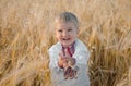 Young boy wearing traditional ukraine clothes in wheat