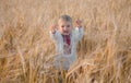 Young boy wearing traditional ukraine clothes in wheat