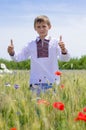 Young boy wearing traditional ukraine clothes in wheat and poppy field