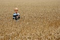 Young boy in wheat field Royalty Free Stock Photo