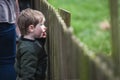 Young boy at wooden fence Royalty Free Stock Photo