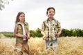 Young boys having fun in the wheat field in summer