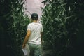 Young boys lost in spooky summer corn maze run Royalty Free Stock Photo