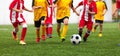 Young boys playing soccer game. Final game of football tournament for kids Training and football match between youth soccer teams Royalty Free Stock Photo