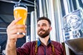 Young brewer wearing a leather apron is testing beer at a modern brewery