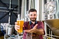 Young brewer wearing a leather apron is testing beer at a modern brewery