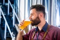 Young brewer wearing a leather apron is testing beer at a modern brewery