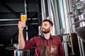 Young brewer wearing a leather apron is testing beer at a modern brewery