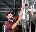 Young brewer wearing a leather apron is testing beer at a modern brewery