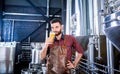 Young brewer wearing a leather apron is testing beer at a modern brewery