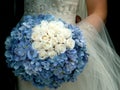 Periwinkle hydrangeas and white roses bridal bouquet Royalty Free Stock Photo