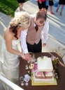 Young bride and groom cutting wedding cake Royalty Free Stock Photo