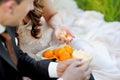 Young bride and groom eating tangerines Royalty Free Stock Photo