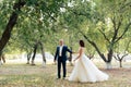 Young bride and groom walking in a summer Park with green trees Royalty Free Stock Photo