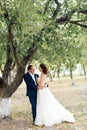 Young bride and groom walking in a summer Park with green trees Royalty Free Stock Photo