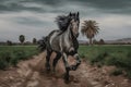 Young brown horse galloping, jumping on the field on a neutral background. Neural network AI generated Royalty Free Stock Photo