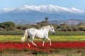 Young brown horse galloping, jumping on the field on a neutral background. Neural network AI generated Royalty Free Stock Photo