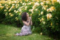 Young brunette Caucasian woman with curly hair sitting on green grass near yellow roses Bush in a garden, smelling roses, looking Royalty Free Stock Photo