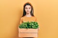 Young brunette girl holding wooden plant pot relaxed with serious expression on face Royalty Free Stock Photo