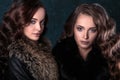 Young brunette twins women with perfect natural makeup and hair style wearing furs Royalty Free Stock Photo