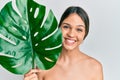 Young brunette woman holding green plant leaf close to beautiful face smiling with a happy and cool smile on face Royalty Free Stock Photo
