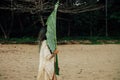 Young brunette woman with a large leaf exotic palm tree Royalty Free Stock Photo