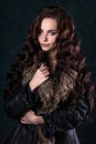 Young brunette woman with perfect natural makeup and hair style wearing furs. Royalty Free Stock Photo