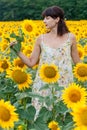 Brunette woman in sundress  in sunflower field Royalty Free Stock Photo