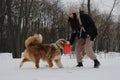 Young brunette woman walks in snowy winter park with dog and plays with red disc toy. Active energetic playful Royalty Free Stock Photo