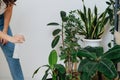 Woman watering potted plants in her home greenhouse