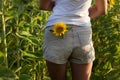 Young brunette woman in a white t-shirt and beige shorts stands in a field with sunflowers, a tiny yellow sunflower flower in a Royalty Free Stock Photo