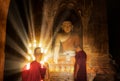 Young Buddhist Monk are reading with sun light