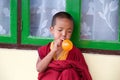 Young Buddhist monk at the Rumtek Monastery, Sikkim, India Royalty Free Stock Photo