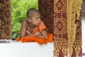 Young Buddhist monk in temple