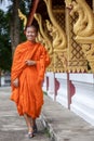 Young Buddhist Monk Walking Next To The Temple