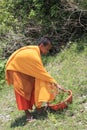 Young Buddhist monks in a garden, Phnom Penh, Cambodia Royalty Free Stock Photo