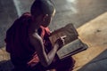 Young Buddhist novice monk reading and study