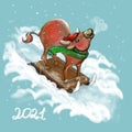 A young bull has fun sledding down the hill in winter on New year`s eve.