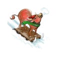 A young bull has fun sledding down the hill in winter on New year`s eve.