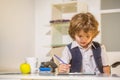 Young business boy. Little boss in office. Young businessman using a laptop. Child handsome boy in office. Seriously Royalty Free Stock Photo