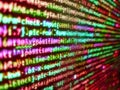 Young business crew working with startup. Concept of security, programming and hacking, deep decryption and encryption. Binary Royalty Free Stock Photo