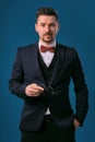 Young business man in classic black suit, white shirt and red bow-tie. Posing against a blue studio background. Mock up Royalty Free Stock Photo