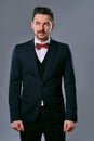 Young business man in classic black suit, white shirt and red bow-tie. Posing against a gray studio background. Mock up Royalty Free Stock Photo