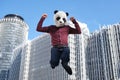 Young business man wearing a panda head mask, jumping in front of the corporate buildings