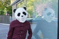 Young business man wearing a panda head mask reflected on a glass of a corporate building