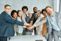 young business people meeting office portrait diversity teamwork group connection success holding hands unity senior Royalty Free Stock Photo