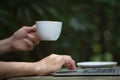 Young business woman hands typing on laptop computer keyboard and holding coffee or tea cup Royalty Free Stock Photo